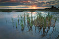 Everglades Sunset