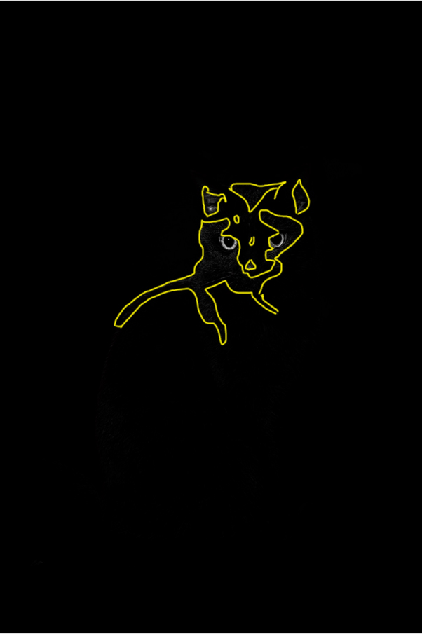 WendyBlackCat
