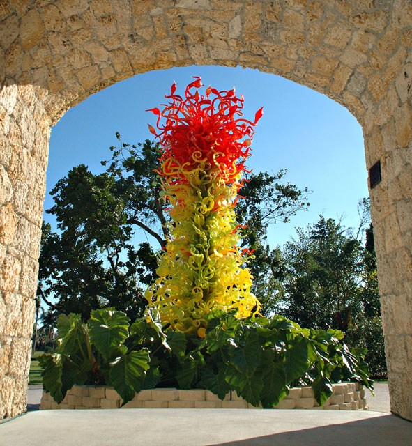 Burning Bush