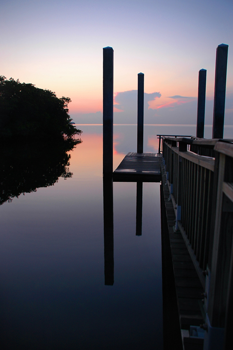DSC_5053v2a.jpg