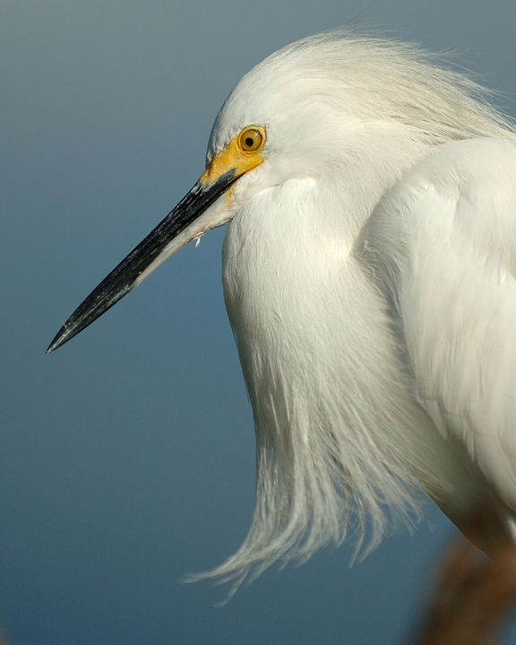 DSC_5144v1.jpg