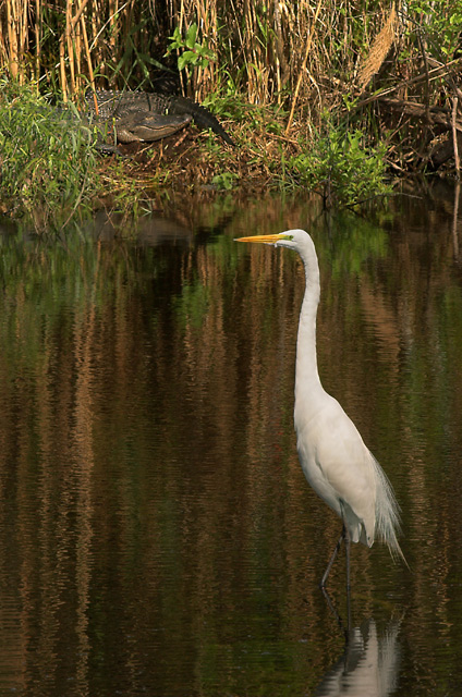 DSC_5835-01.jpg