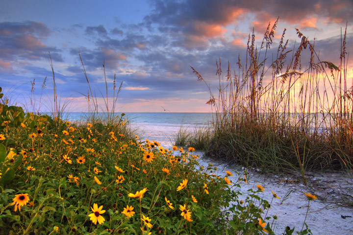 To The Sea (HDR Version)