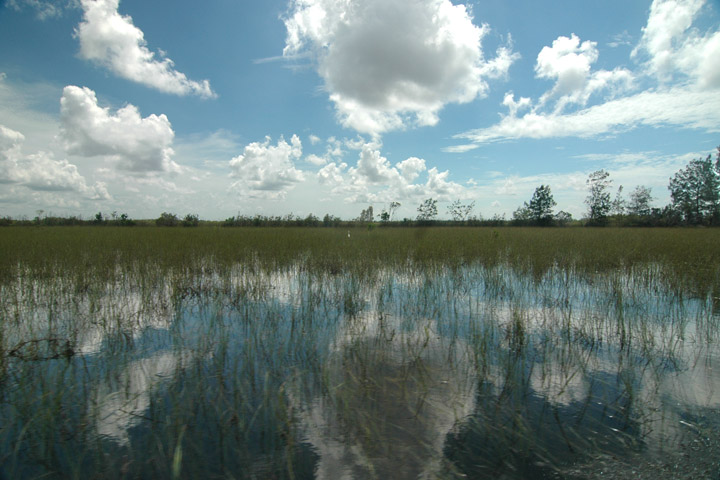 Reflection From A Moving Airboat.jpg