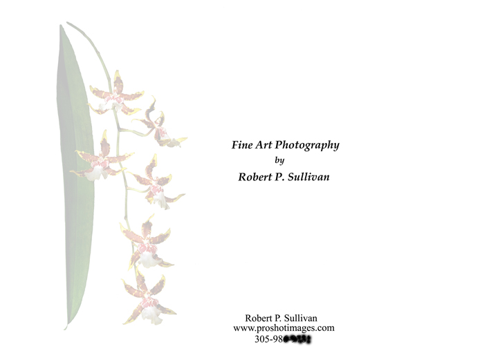 FineArtFlowerPort.jpg