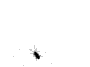 Yakatme's computer bug