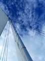 sail up.jpg