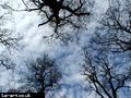 Sky over Richmond Park