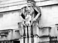 london_011