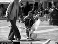 Admiration