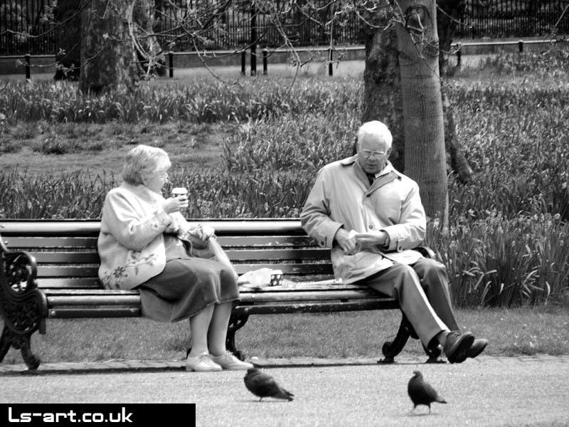 Feeding pigeons
