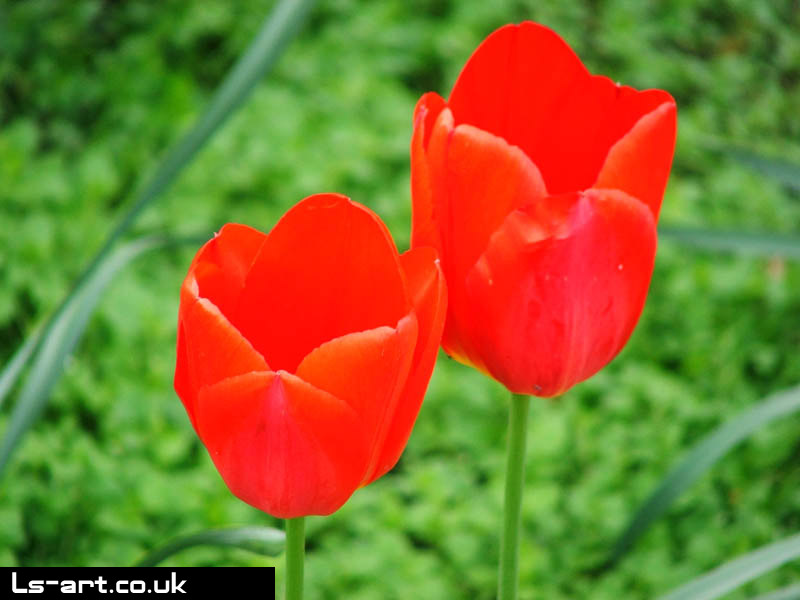 london_052