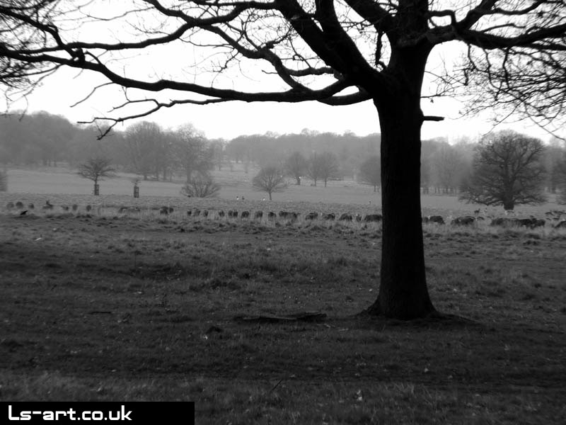london2_004.jpg