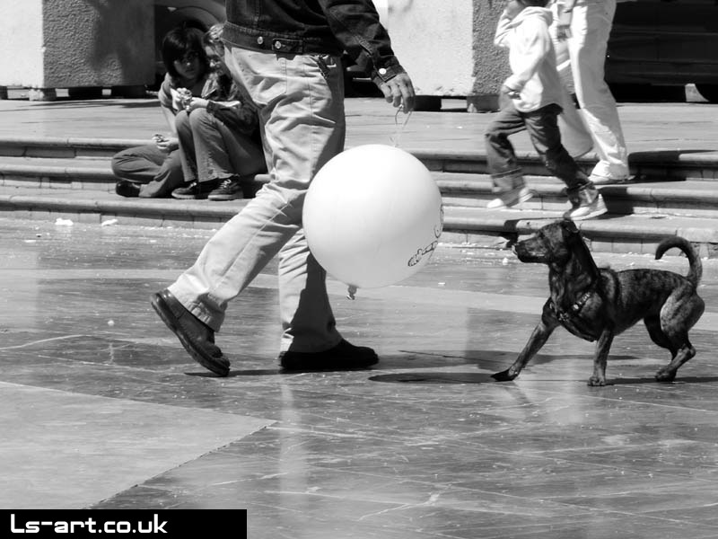 Woof woof!