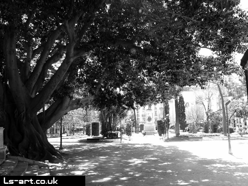 Valencia - Centenary Tree 2