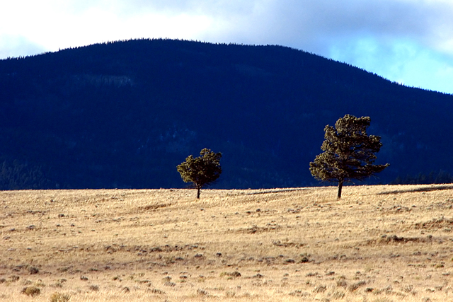 Solitary Pair