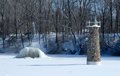DSC_0307.jpg