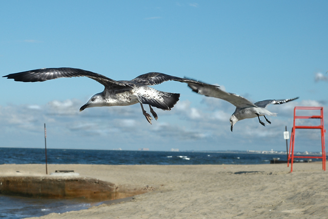 DSC_4244edit-web.jpg