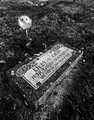 The legend of Lilly E. Gray.....