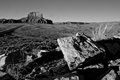 _DSC9402.jpg
