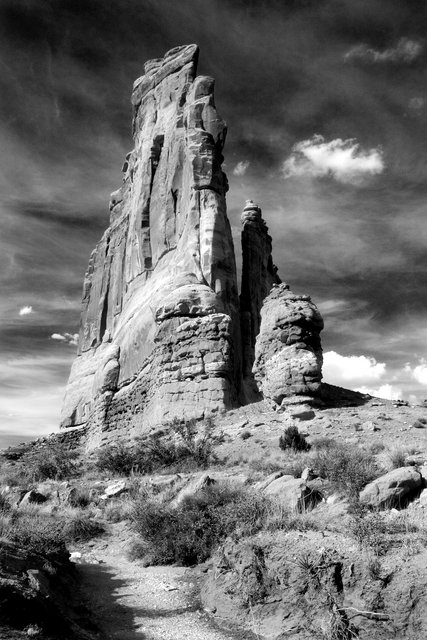 Courthouse Towers B/W