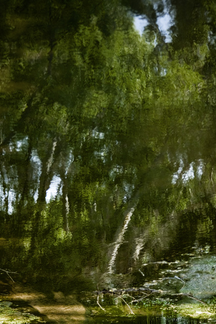 River Reflections