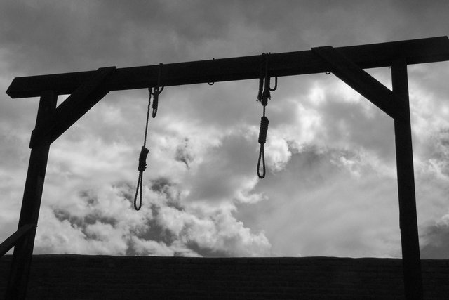 The Gallows