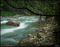 VirginRiver.jpg