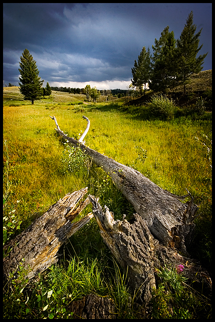 Blacktail Shortcut