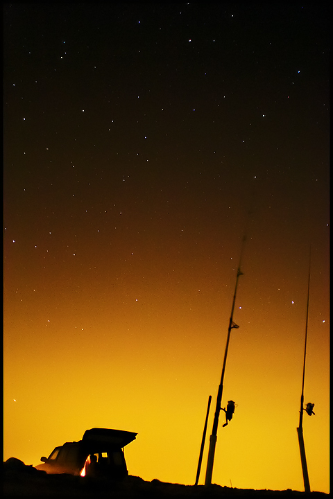 Island-Beach-Stars.jpg