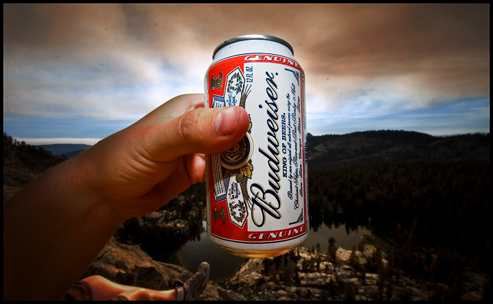 This Buds for You