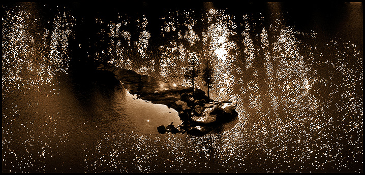 Reflections.jpg