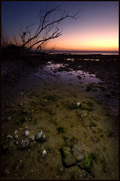 Low Tide at Sunset