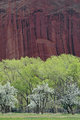 Rev2005-04-16-112232.jpg