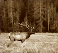 DSC_2914.jpg