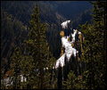 DSC_2981.jpg