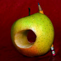 a_DSC9483sm.jpg