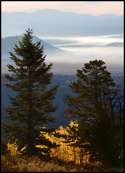DSC_2836sml.jpg