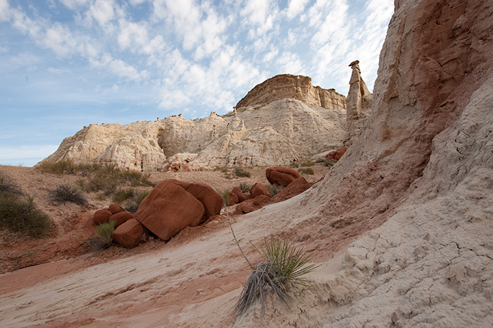 _DSC2399-39.jpg