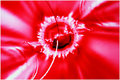 Strawberry swirl