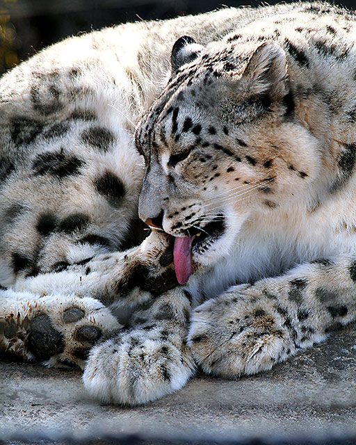 Bath-time