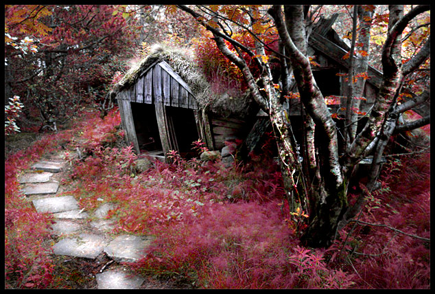 Fairyland-try_Heidaphoto.jpg
