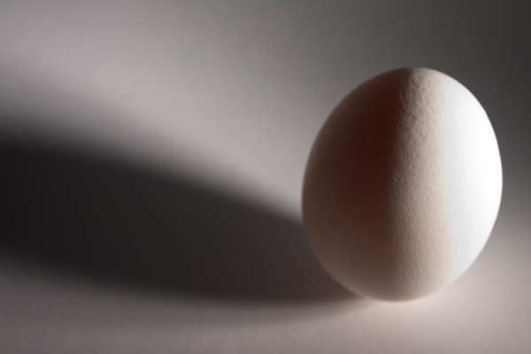 egg_1000_4673.jpg