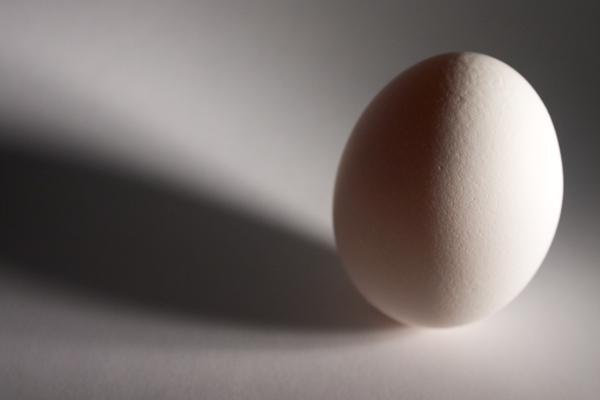 egg_2500_4674.jpg