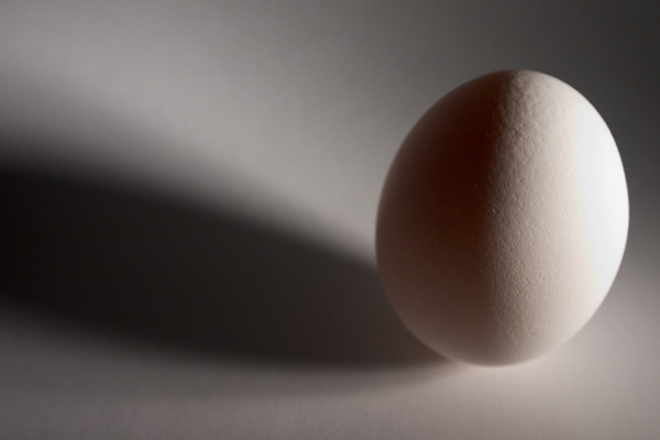 egg_1600_4672.jpg