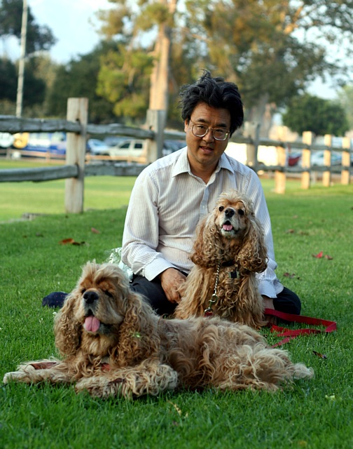 cockerspaniels.jpg