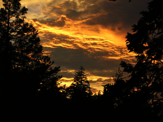 Sunset From My Porch.jpg