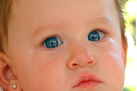 Bella Blue Eyes.jpg