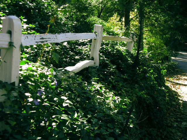 Split Rail Fence TU.jpg