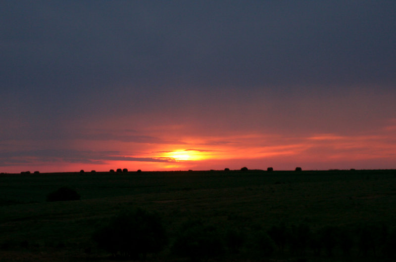 IMG_1868.jpg